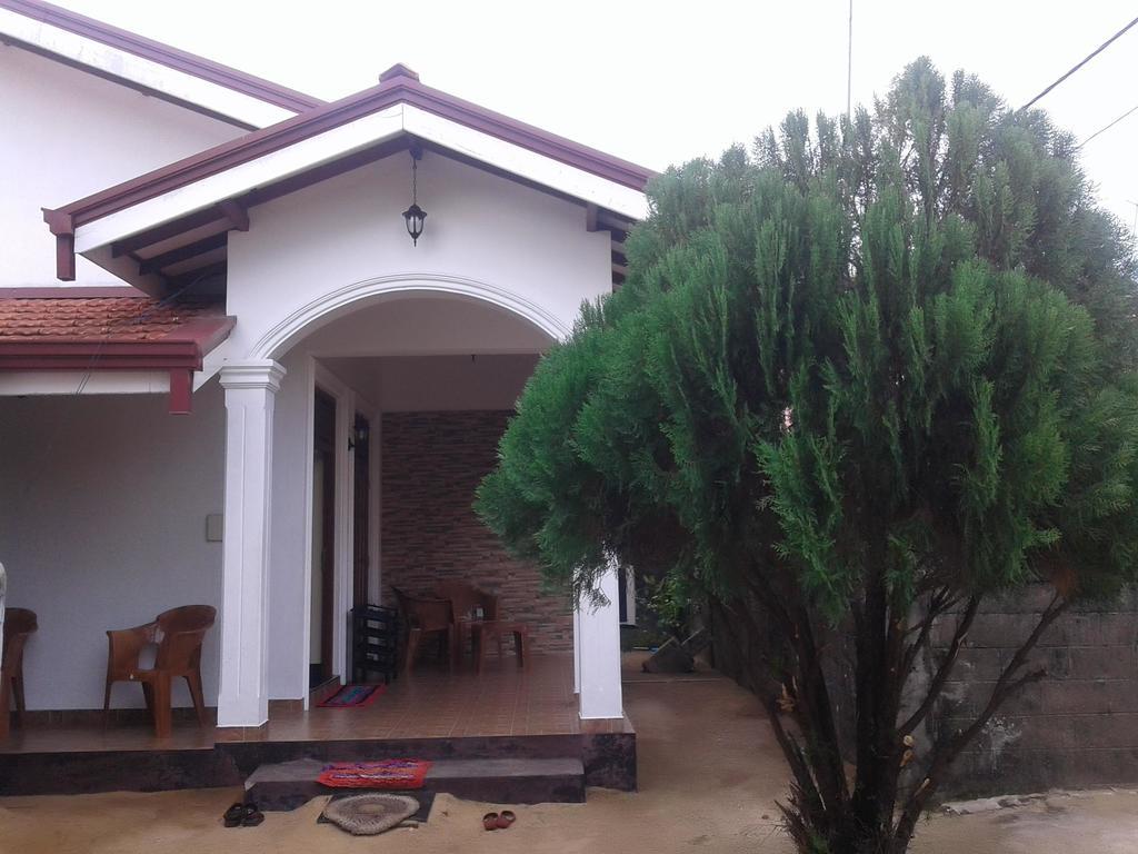 Aurora - Negombo Budget Hostel Exteriör bild